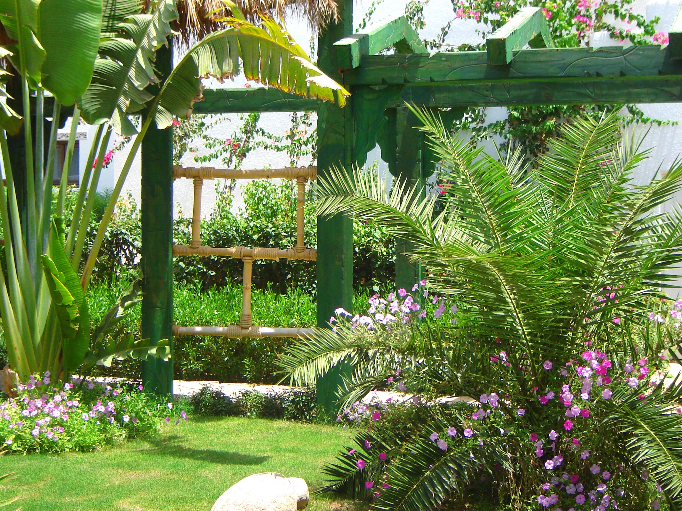 Delta Sharm Resort ,Official Web, Delta Rent, Sharm El Sheikh, South Sinai, Egypt Exterior photo